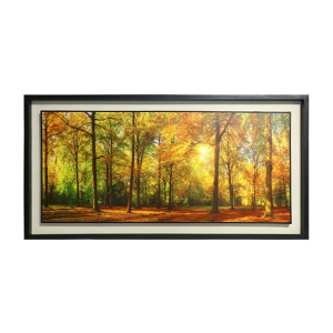 Wooden Photo Frame / Canvas – Forest (41×21 inch)