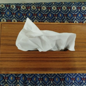 Modern Tissue Box