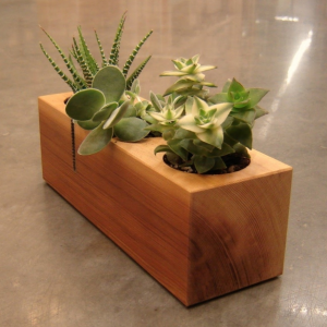 Wooden Flower Pot (H4″ x W3″ x L10″)